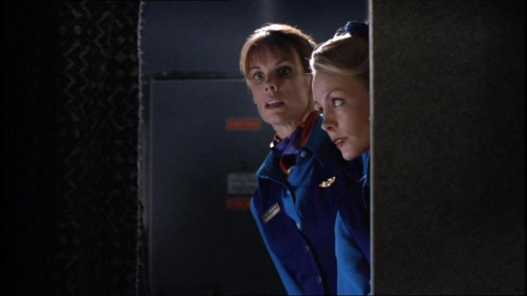 roughairflight534 (10)