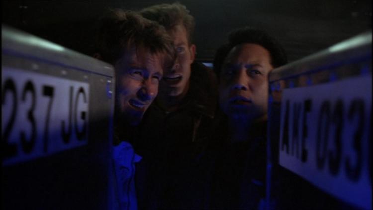 roughairflight534 (54)